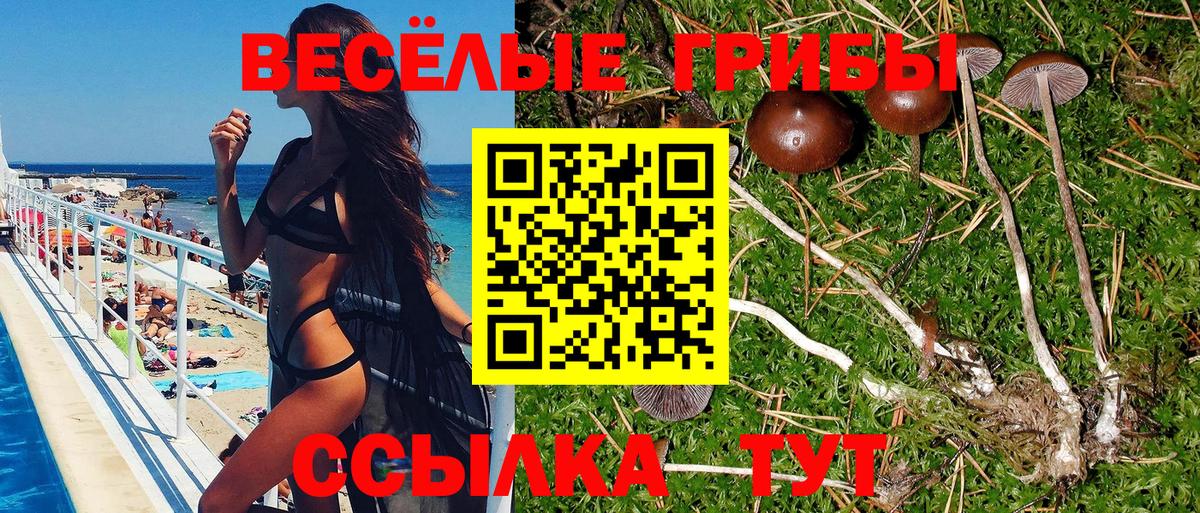 Галлюциногенные грибы Magic Shrooms  Вход с VPN  Похвистнево  Псилоцибиновые грибы мицелий 
