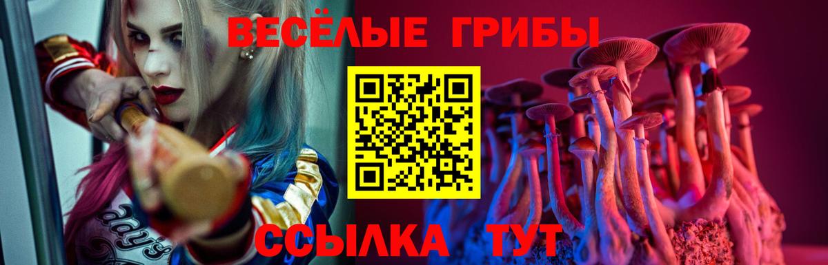 Галлюциногенные грибы Psilocybine cubensis Похвистнево